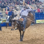 Silver Spurs Rodeo at Yuma Fairgrounds