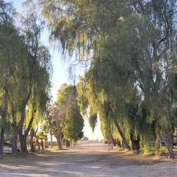 Some sections of the park are shady