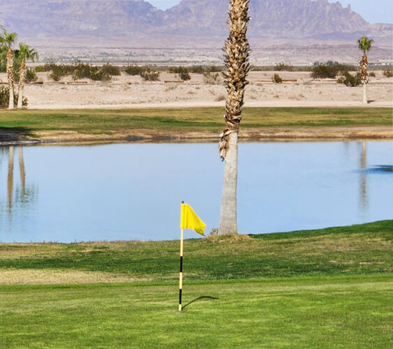 One of many golf courses near Yuma